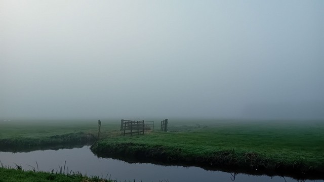 Polderplaatjes ~ 2024 ~&nbsp;oktober