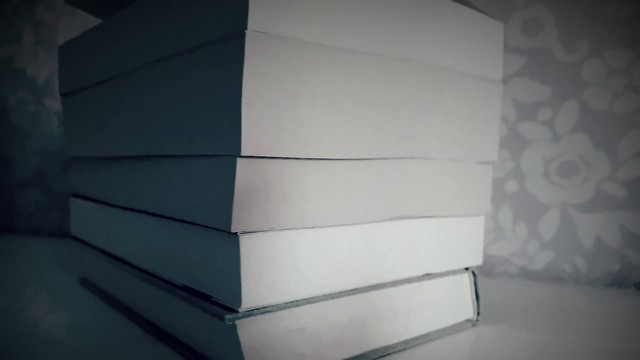 Boekenpraat: Boeken die ik in 2024 wilde&nbsp;lezen