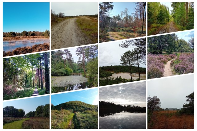 Terugblik/samenvatting ’12 maanden – 12 provincies’