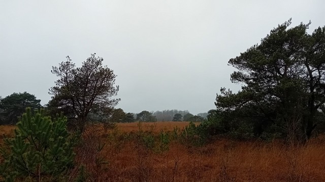 12 maanden – 12 provincies (12/12):&nbsp;Limburg