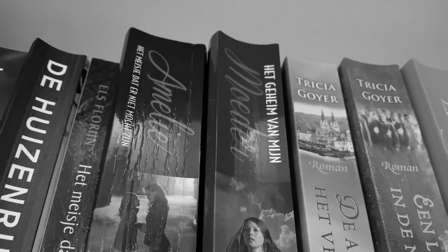 5 dingen die mij helpen tijdens een&nbsp;leesdip