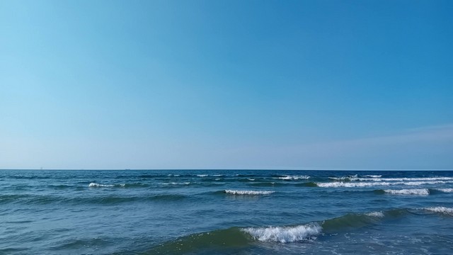 Pluk de vakantiedag: zomervakantie&nbsp;inwijden