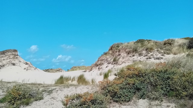 Pluk de vakantiedag: wandelen met&nbsp;Rietepietz